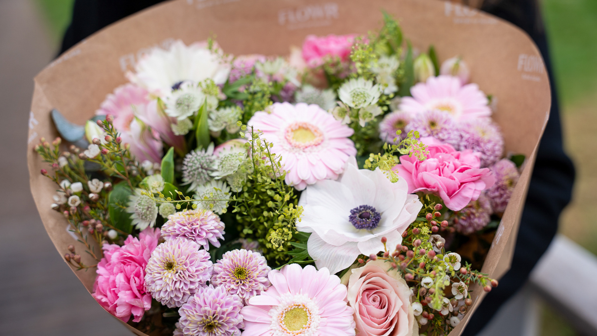 Forårsblomster Forårsblomster