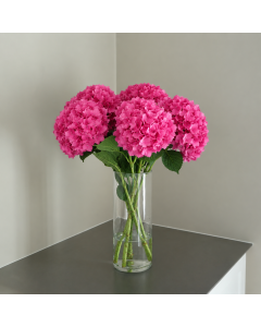 Bundt med 5 stilke pink hortensia