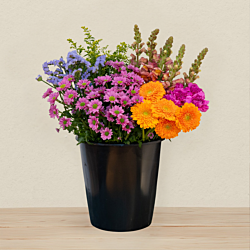 Færdigblandet blomsterbundt med friske blomster fra online blomsterbutik – køb blomsterbuket med levering direkte til døren