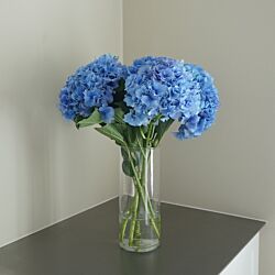 Bundt med 5 stilke blå hortensia