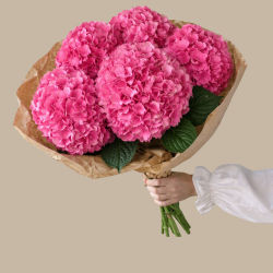 Bundt med 5 stilke pink hortensia