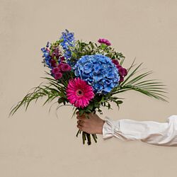 Buket med blå hortensia, pink gerbera og lilla blomster holdt i hånden.