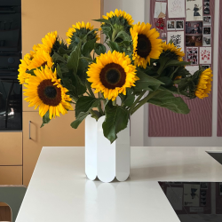 Bundt med 10 eller 15 stilke solsikker