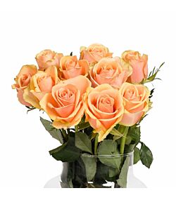 Ferskenfarvede roser 10 stilke 50 cm.