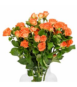 Orange grenede roser 5 stilke 50cm