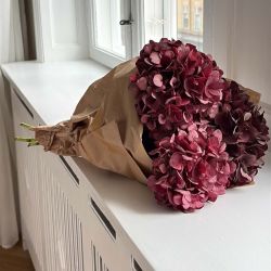 Send blomster online. 3 stilke mørkerøde hortensia