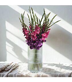 Bundt med 20 eller 30 stilke gladiolus - Farver kan variere 