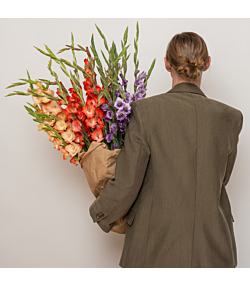 Bundt med 20 eller 30 stilke gladiolus - Farver kan variere