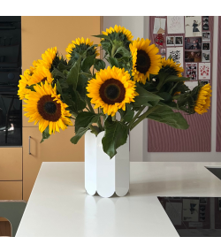 Bundt med 10 eller 15 stilke solsikker